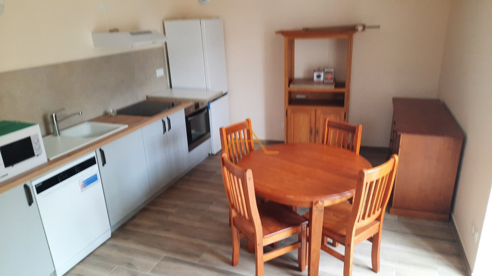 location Appartement Puy Saint Martin - Photo 1