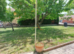 vente Villa Taulignan