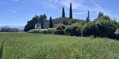 vente Marsanne