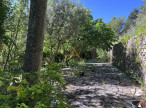 vente Maison à ossature bois Souspierre