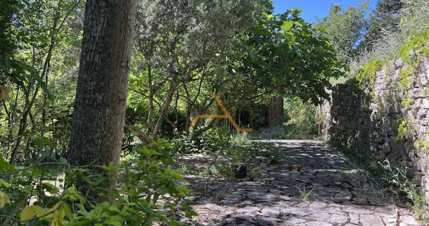 vente Maison à ossature bois Souspierre