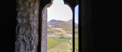 vente Château Saint Sauveur Gouvernet