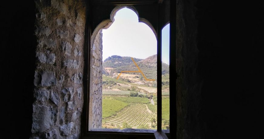 vente Château Saint Sauveur Gouvernet