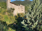 vente Château Saint Sauveur Gouvernet