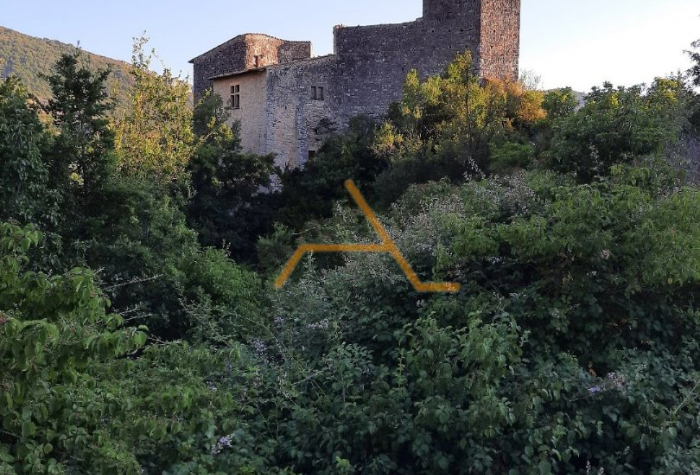 vente Château Saint Sauveur Gouvernet - Photo 17