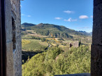vente Château Saint Sauveur Gouvernet