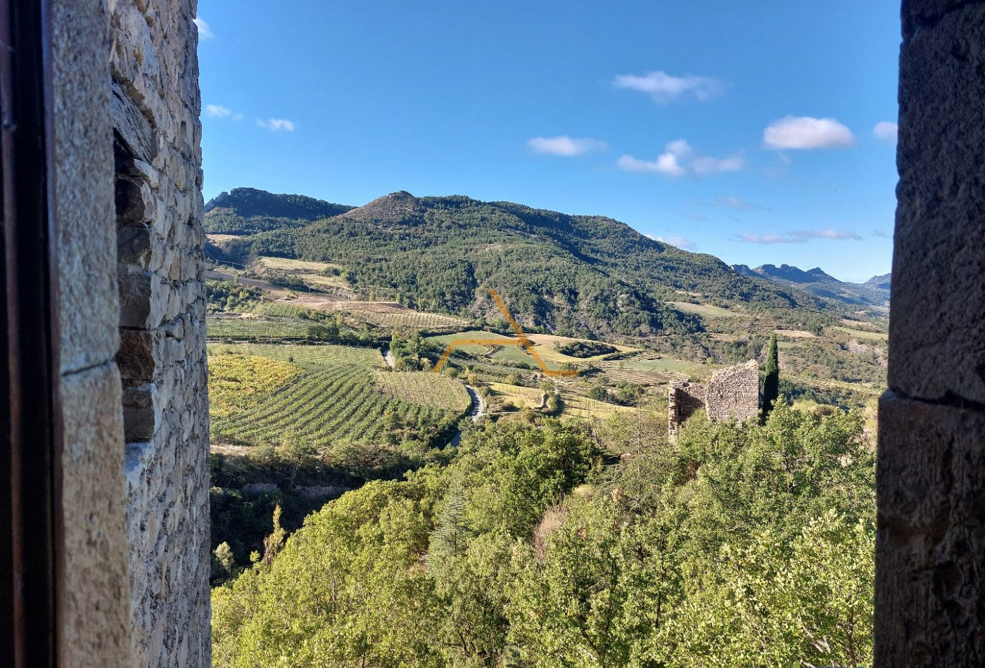 vente Château Saint Sauveur Gouvernet - Photo 2
