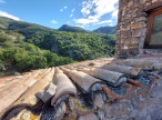 vente Château Saint Sauveur Gouvernet