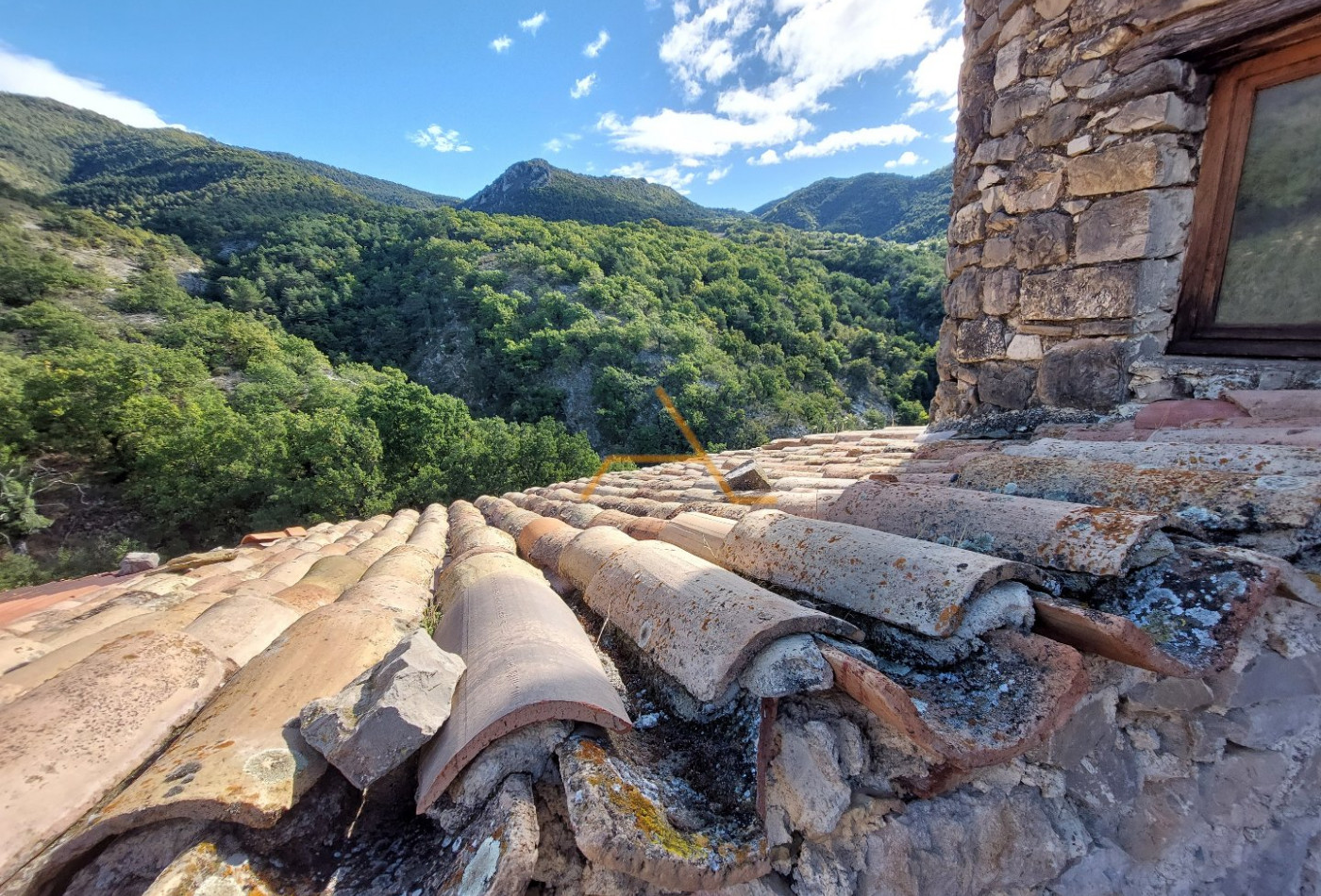 vente Château Saint Sauveur Gouvernet - Photo 18