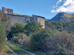 vente Château Saint Sauveur Gouvernet