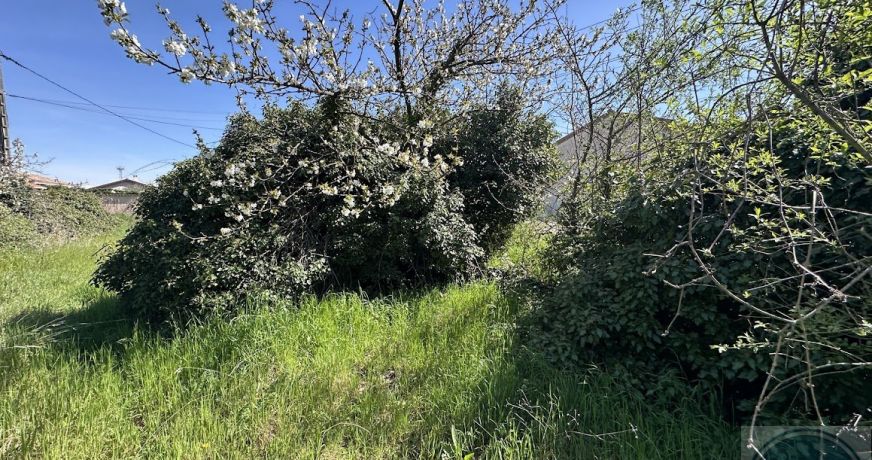 vente Terrain Saint Rambert D'albon