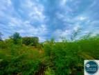 vente Terrain Le Peage De Roussillon