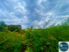 vente Terrain Le Peage De Roussillon