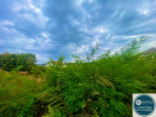 vente Terrain Le Peage De Roussillon