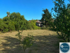 vente Terrain Sonnay