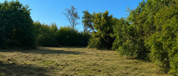 vente Terrain Sonnay