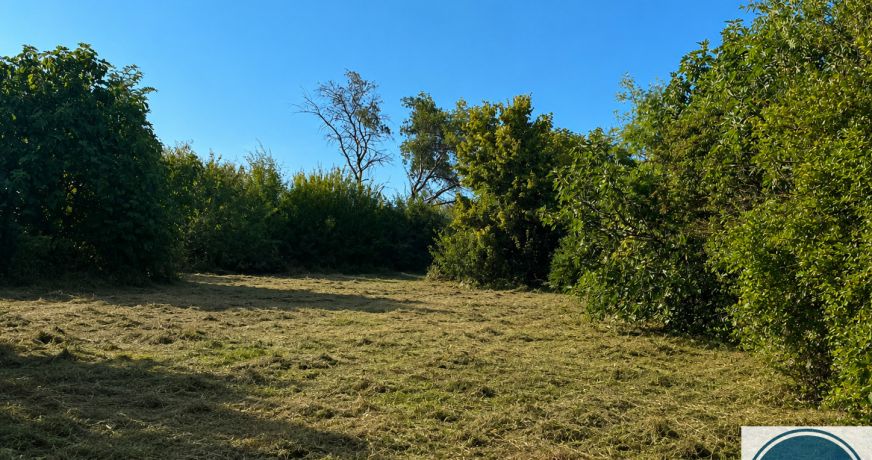 vente Terrain Sonnay
