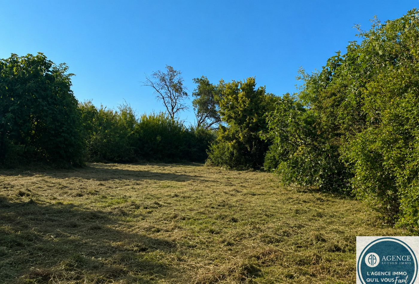 vente Terrain Sonnay - Photo 1