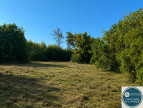 vente Terrain Sonnay