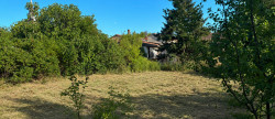 vente Terrain Sonnay