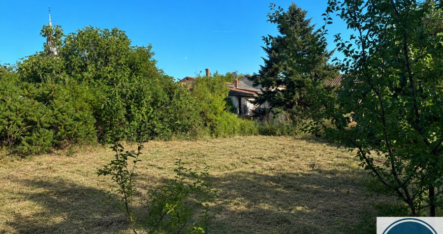 vente Terrain Sonnay