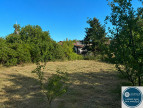 vente Terrain Sonnay