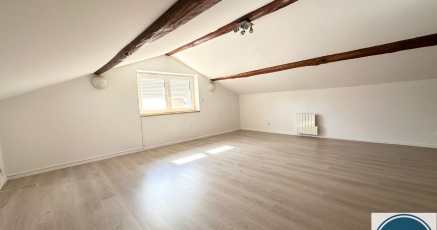 vente Appartement Chanas