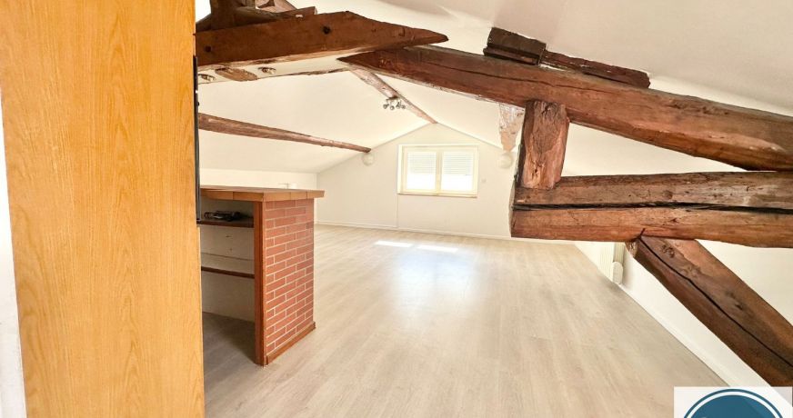 vente Appartement Chanas