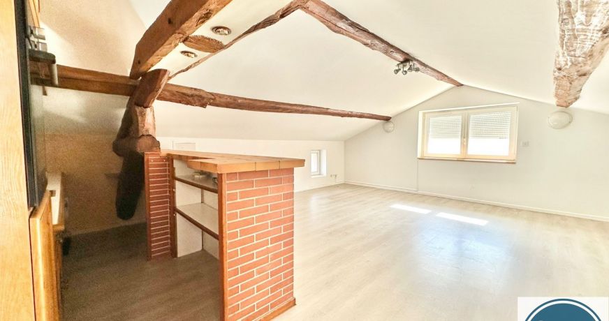 vente Appartement Chanas