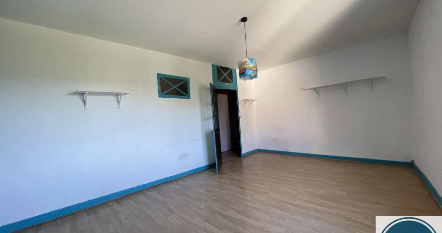 vente Maison de village Chanas