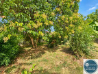 vente Maison Chantemerle Les Bles