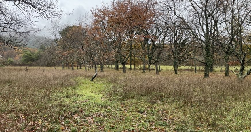 vente Maison de campagne Le Poet Laval