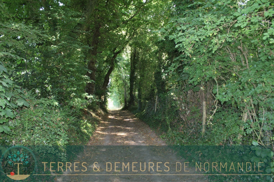 vente Maison Barville - Photo 2