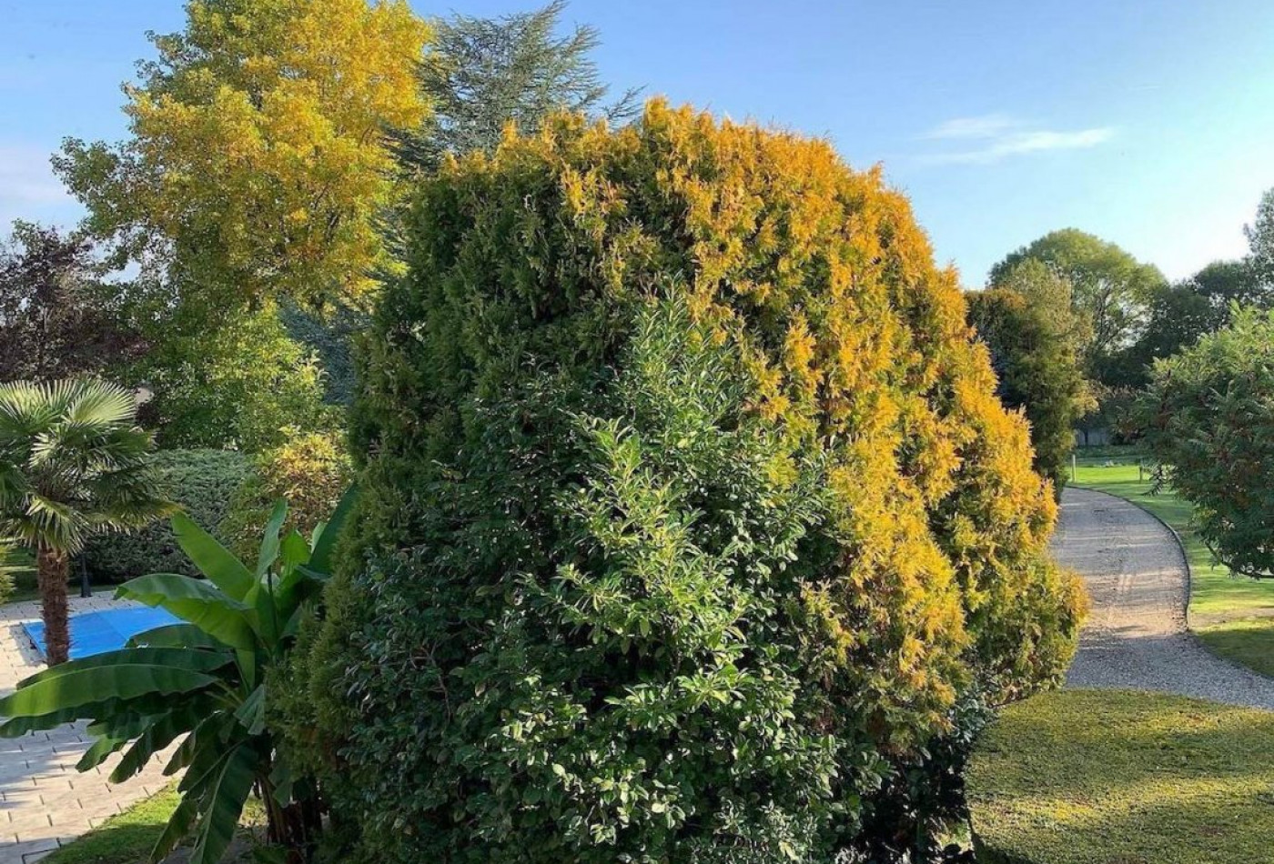 vente Maison Lieurey - Photo 8