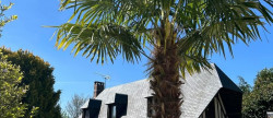 vente Maison Lieurey