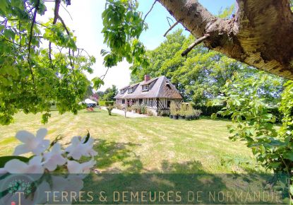 vente Maison Beuzeville