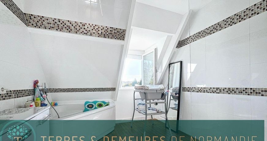 vente Maison Bonneville La Louvet