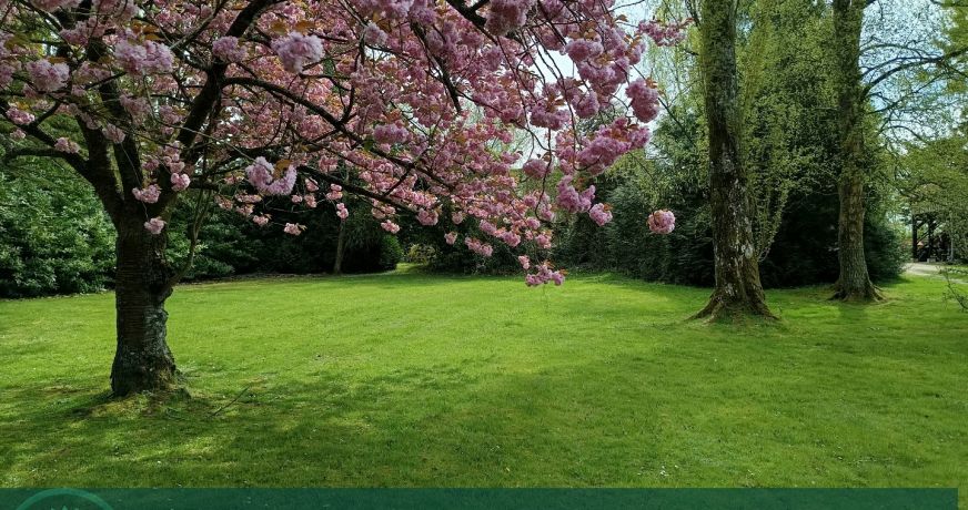 vente Chaumière Bonneville La Louvet