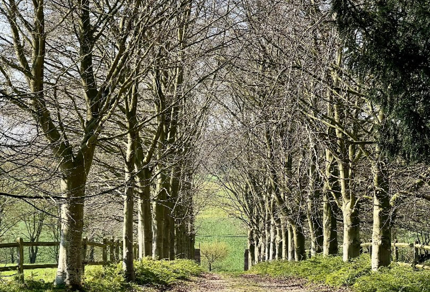 vente Manoir Bourg Achard - Photo 5