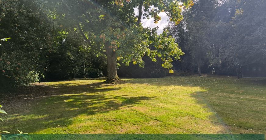 vente Maison Beuzeville