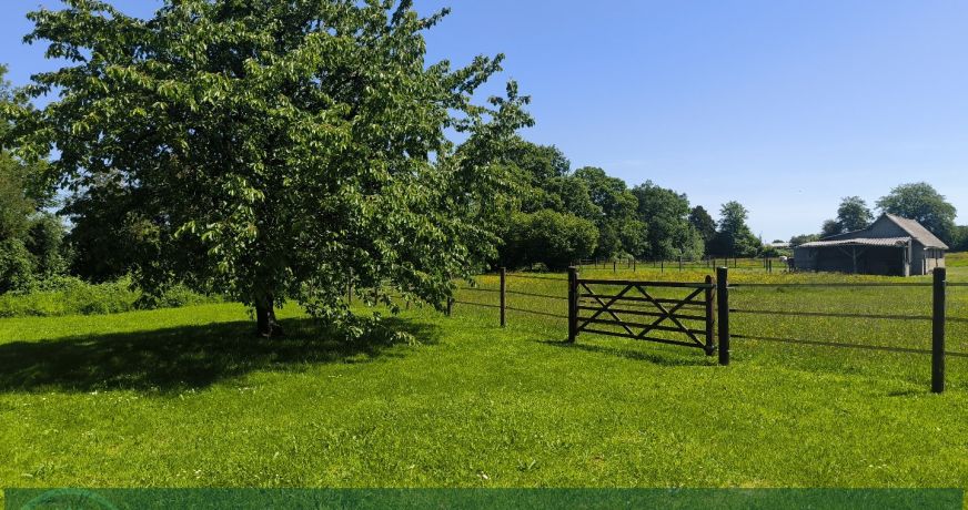 vente Haras / equestre Cormeilles