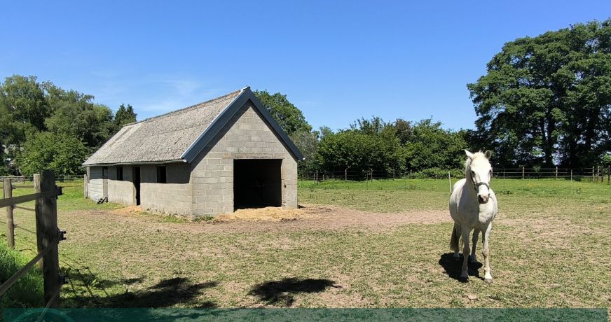 vente Haras / equestre Cormeilles