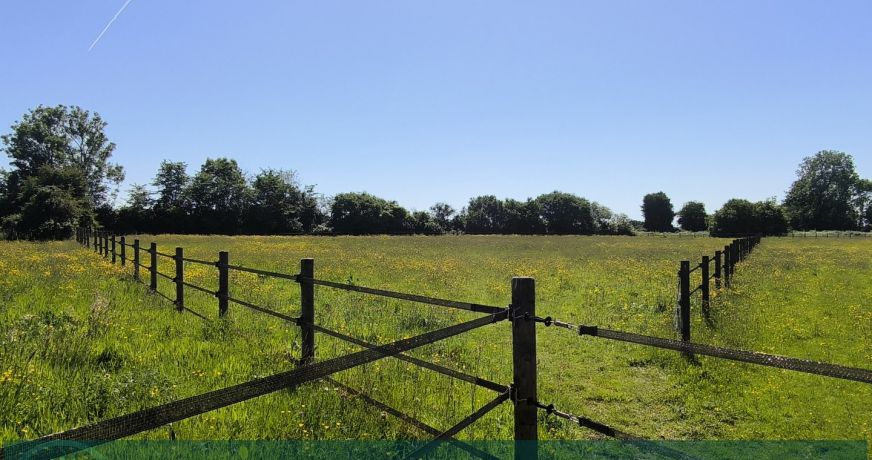 vente Haras / equestre Cormeilles