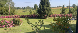 vente Maison Beuzeville