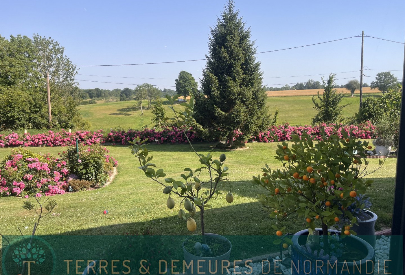 vente Maison Beuzeville - Photo 3