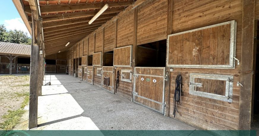 vente Haras / equestre La Mailleraye Sur Seine