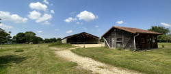 vente Haras / equestre La Mailleraye Sur Seine