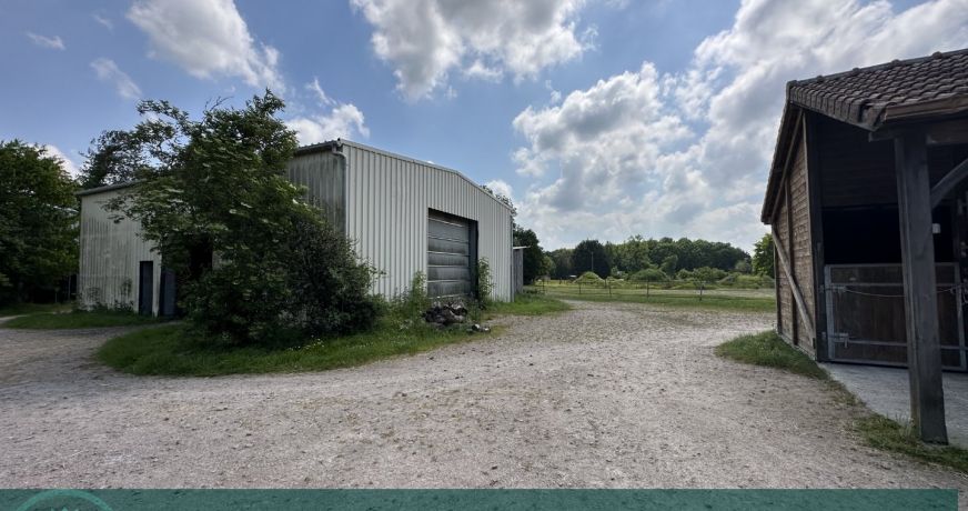 vente Haras / equestre La Mailleraye Sur Seine