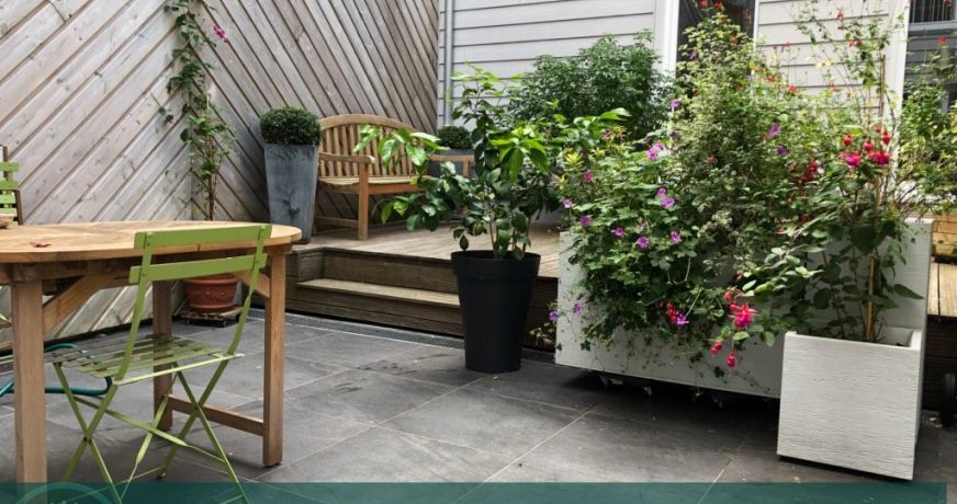 vente Maison de ville Eu