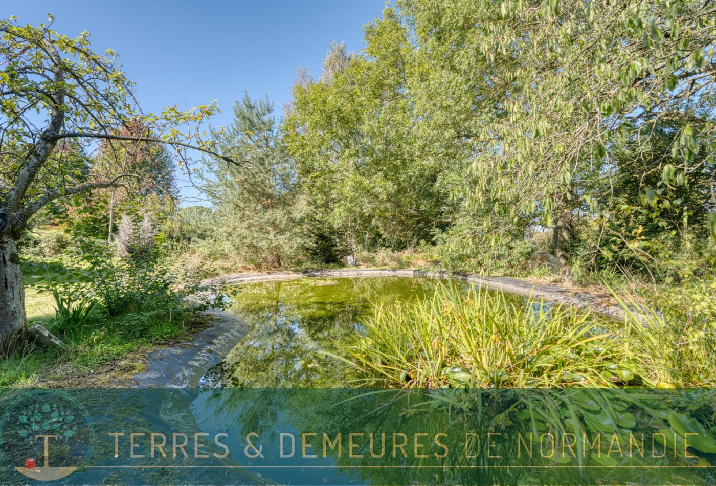 vente Longere Saint Saire - Photo 10